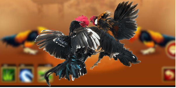 Các yếu tố tạo nên sức hút của Đá gà 99Win