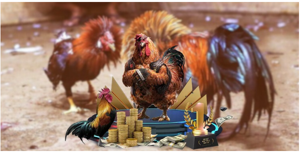 Hitclub mang đến trải nghiệm đá gà khác biệt