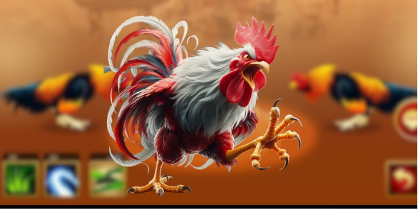 Kinh nghiệm tham gia Đá gà HM88 hiệu quả