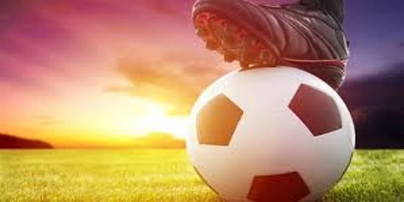 Ví dụ minh họa cách đọc tỷ lệ