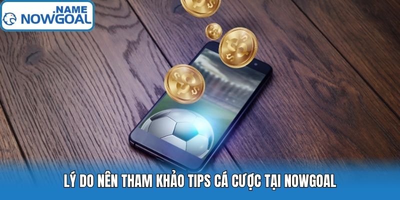 Lý do nên tham khảo Tips cá cược tại Nowgoal